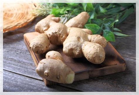 Growing Ginger Root - Al Ardh Alkhadra