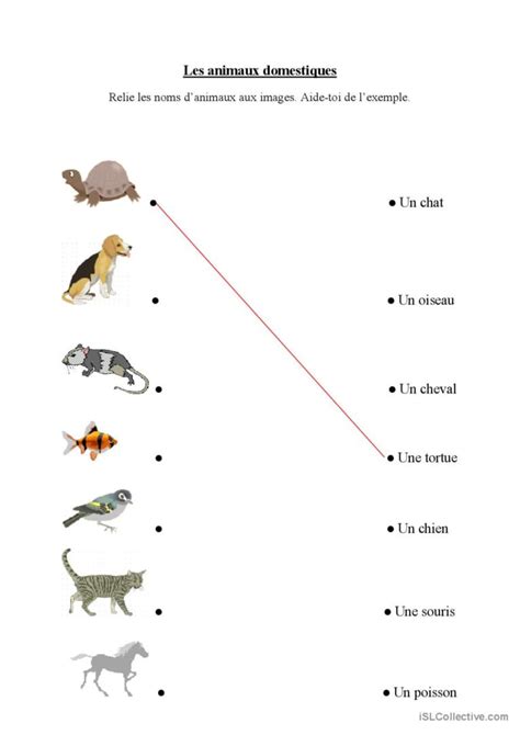 Les Animaux Domestiques Fran Ais Fle Fiches Pedagogiques Pdf Doc 60480