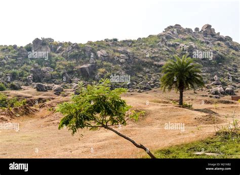 chota nagpur plateau jharkhand  res stock photography  images alamy