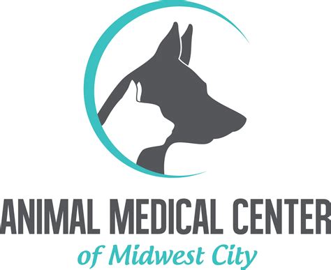 Dog Dermatology Veterinarian In Midwest City Ok Animal Medical