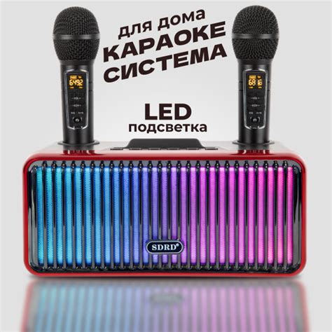 Караоке система для дома SD-319 Pro /черная/ с двумя микрофонами ...