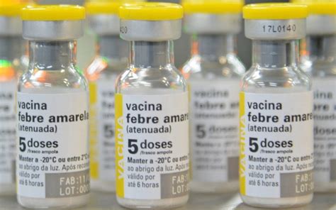 Tratamentos Para Febre Amarela - Febre amarela: sintomas, tratamento e prevenção · Anatomia de uma leitora
