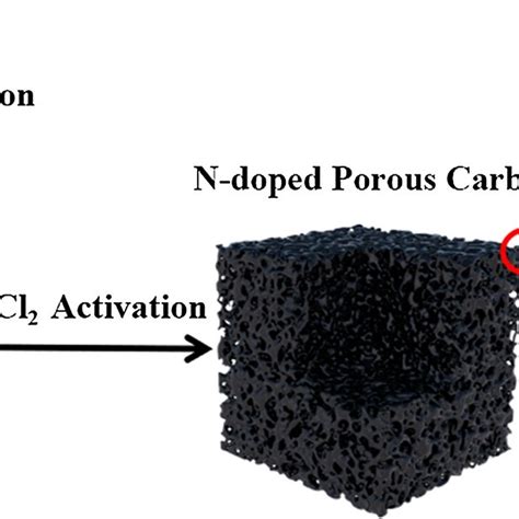 Schematic Illustration Of Preparation Processes Of Chitosan Derived