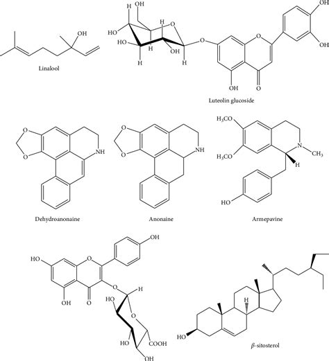 Figure 2 From Phytochemical Profile And Biological Activity Of Nelumbo