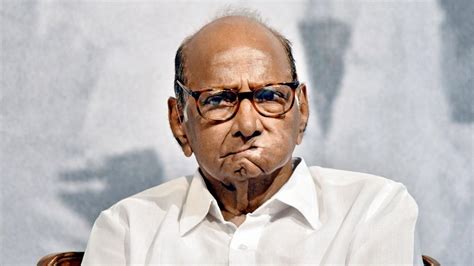 Maharashtra Politics Sharad Pawar Taking Legal Opinion On Crisis