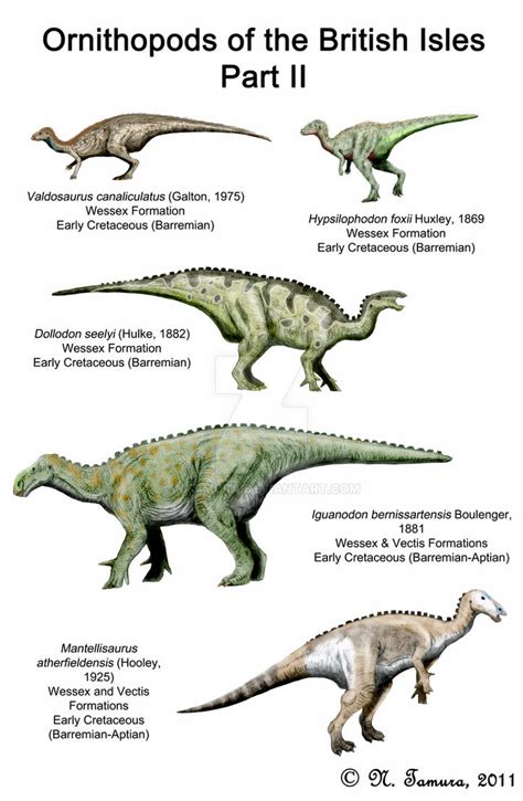 British Ornithopods II by NTamura on DeviantArt