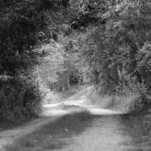feldweg fachwerkde die fachwerkhaus community