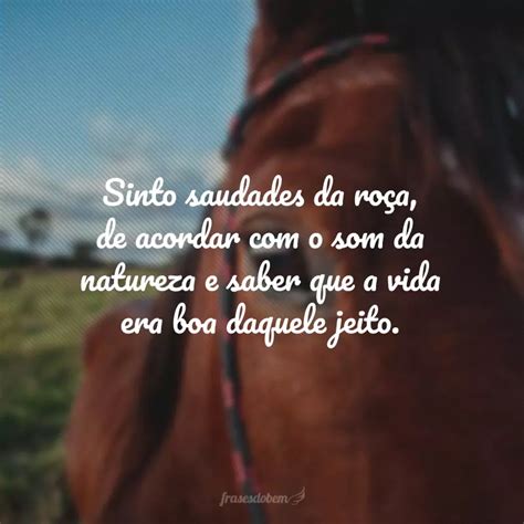 40 frases da roça porque a vida lá é boa demais da conta, sô