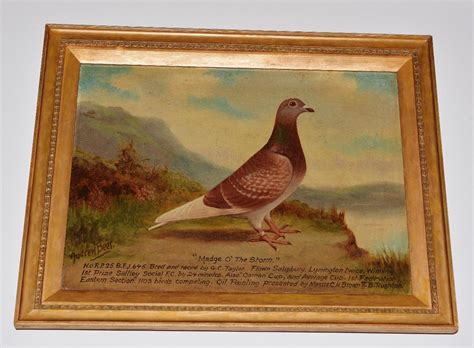 Oil Painting By Andrew Beer 1862 1954 Pigeon Named Madge O From