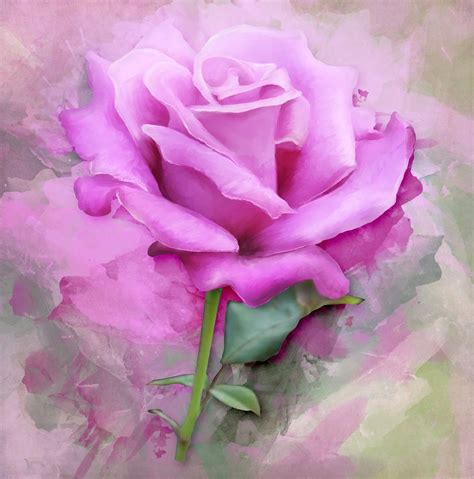 Rose Painting Pictures Photos And Images For Facebook Tumblr
