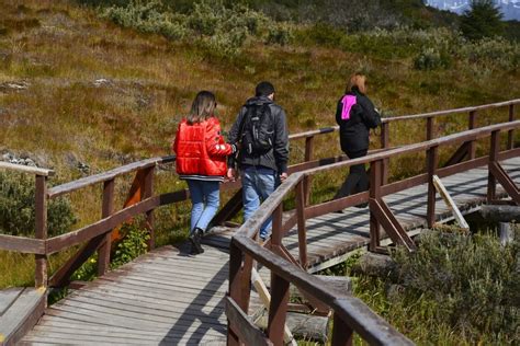 Ushuaia Kustexcursie Tierra Del Fuego National Park Getyourguide