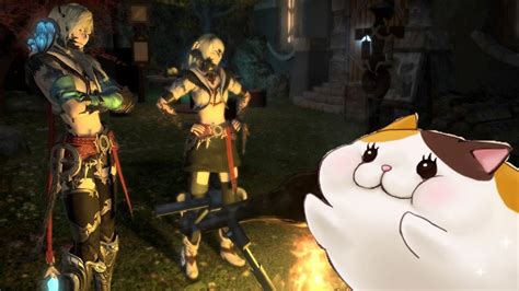 Final Fantasy Xiv A Fat Cat Youtube