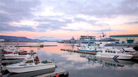 Ferienwohnung Hafen von Reykjavík Reykjavík Villen mehr FeWo direkt