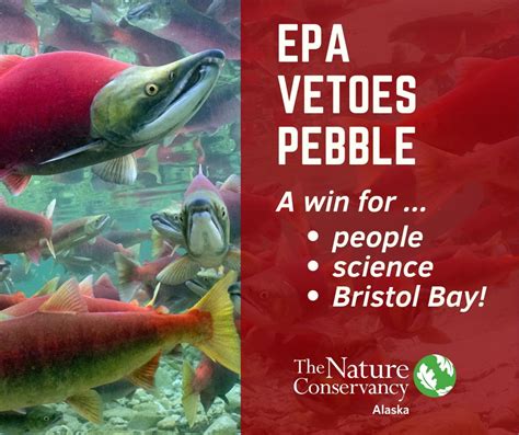 The Nature Conservancy On Linkedin Bristolbay 13 Comments