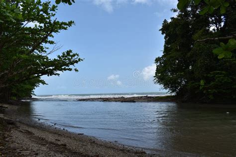 The Matelot River Mouth, Trinidad and Tobago Stock Image - Image of ...