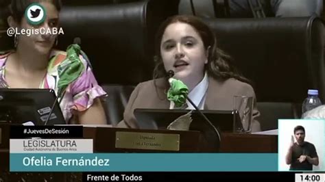 Ofelia Fernández Presentó Un Proyecto De Ley Para Que El Protector