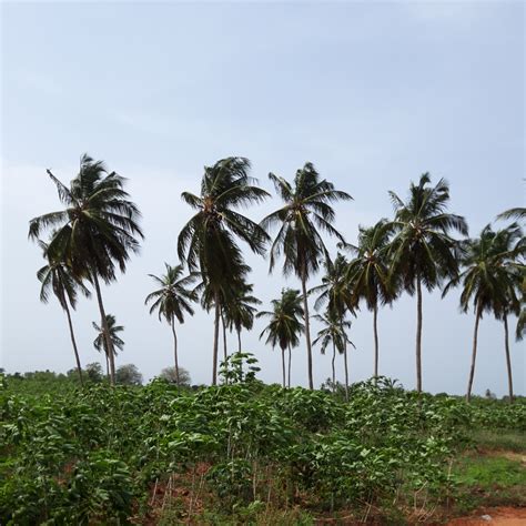 Es geht in den Süden Togos - Togo-Blog