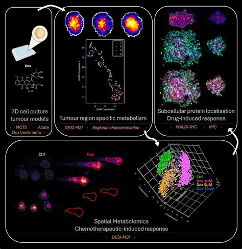 Metabolites | An Open Access Journal from MDPI 