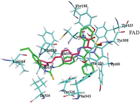 Putative Binding Mode Of Inhibitor D Carbon Atoms Colored Green And