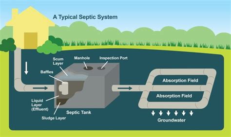 The Hidden Infrastructure A Comprehensive Septic System Diagram Guide For Homeowners
