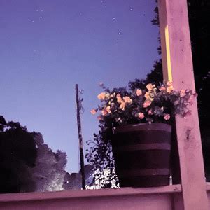 Gray Martin – Broken Beyond Repair Lyrics | Genius Lyrics