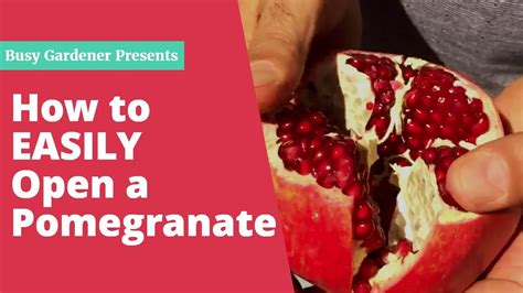 How To Open A Pomegranate Easily Youtube