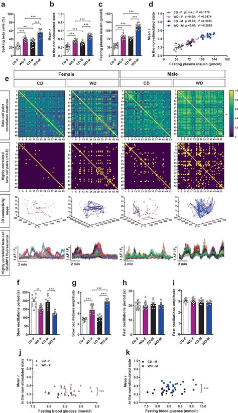 Sex Dependent Intra Islet Structural Rearrangements Affecting Alpha To Beta Cell Interactions