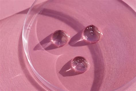 Missha Time Revolution Essence Review: Is It Just Hype?