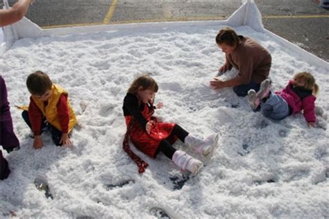 Fake Snow Diy — Incredible Events