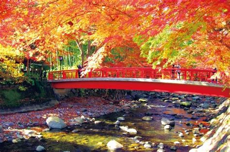 夕日に紅葉感動の赤絶景！秋の伊豆おすすめデートスポット8選【静岡】 ｜じゃらんニュース