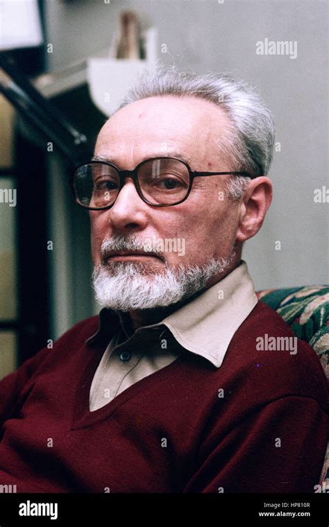 primo levi portrait  res stock photography  images alamy