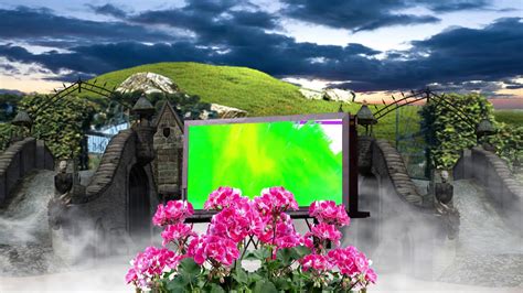 Wedding Free Green Screen Video Effect Backgrounds Frame 31 3d