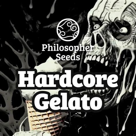 Hardcore Gelato Und AmnesiaZ Von Philosopher Seeds Zwei Champions Zum