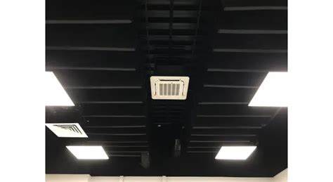 Купить максфорте Экоакустик в Москве и СПБ по доступной цене