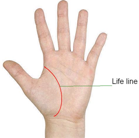 palmistry: Know your Future: Life line: how to find out your age