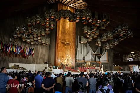 Visit the Basilica of Our Lady of Guadalupe: what to see and how to get ...