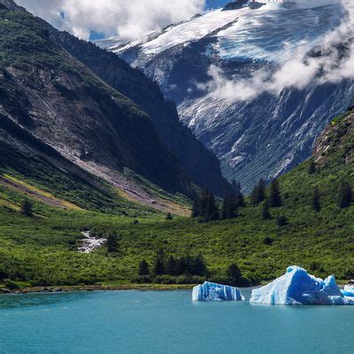 Trump Opens Up Alaskas Tongass National Forest For Logging