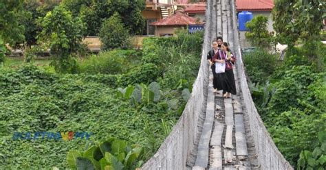 300 Pelajar Gadai Nyawa Guna Jambatan Gantung Usang Ke Sekolah