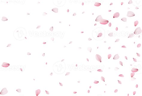 Flying Flower Petals 11236103 PNG