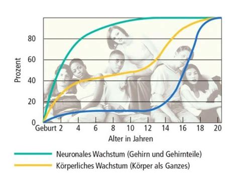 Kapitel Entwicklung Karteikarten Quizlet