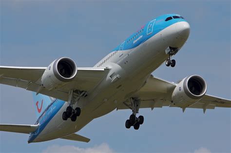 Boeing 787 Guide And Specs: A Dream Come True? Aviator, 58% OFF