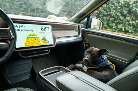 Pet Mode Temperature Question Rrivian