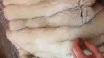 Teasing My Dick In FUR COAT XVIDEOS