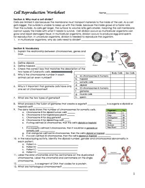 Cell Reproduction Worksheet Complete With Ease Airslate Signnow