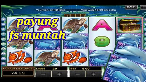 Padu DOLPHIN REEF Muntah Sangkut Free Spin 3X Myyearonyoutube YouTube