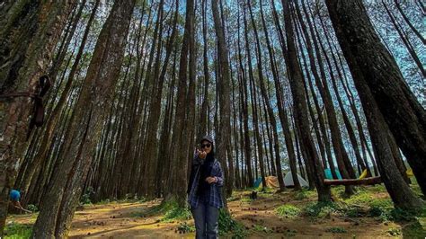 Kekayaan Alam Garut Memikatnya Karacak Valley Oase Kedamaian Di Tengah