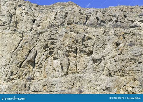 Fossilized Coral Deposits Crimea Stock Image Image Of Excrescence