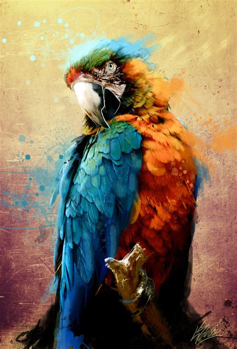 Parrot Macaw Art Parrots Art Parrot Painting