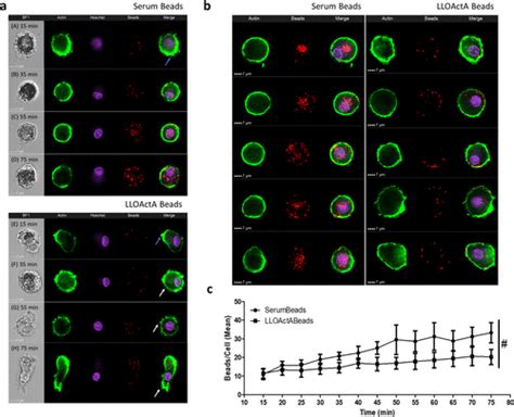 Harnessing Microbial Effectors For Macrophage Mediated Drug Delivery