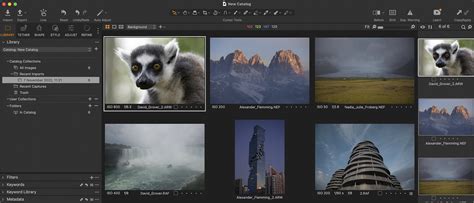 viewer overview home